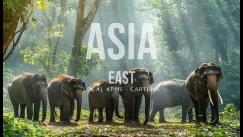 CartDNA Asia East Regional Guide