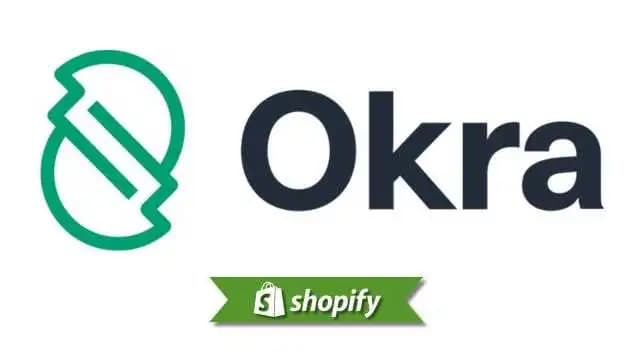 Okra payment method guide for Shopify merchants targeting NG