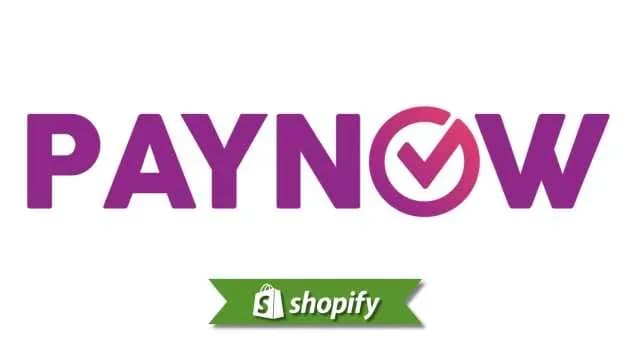 Paynow payment method guide for Shopify merchants targeting SG