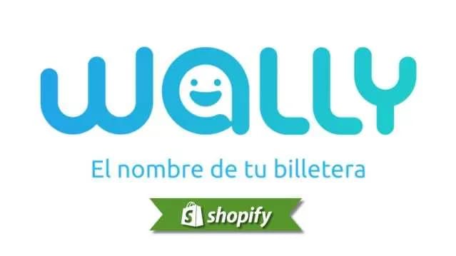Wally payment method guide for Shopify merchants targeting PY