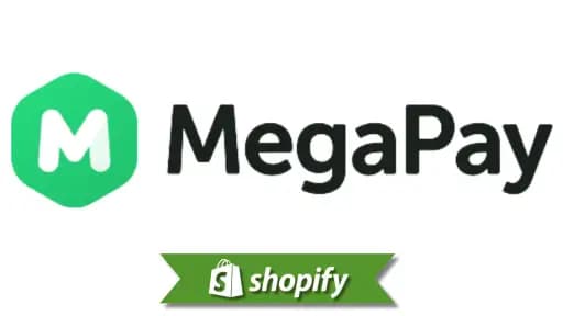 Megapay payment method guide for Shopify merchants targeting KG