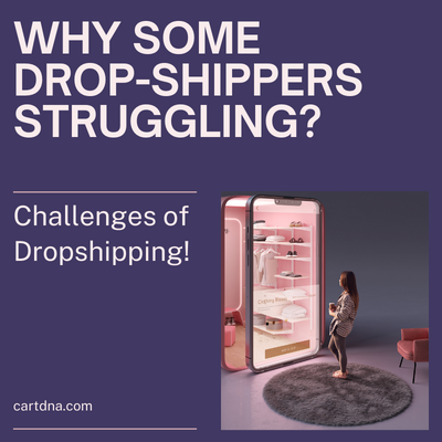 Why Some DROP-SHIPPERS-STRUGGLING