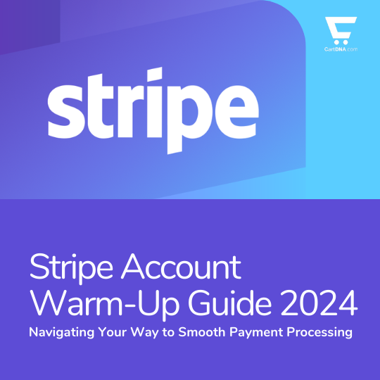 Stripe Account Warm-Up Guide 2024