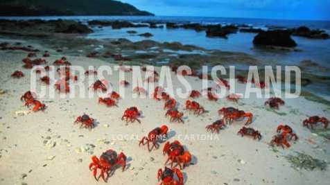 Christmas Island